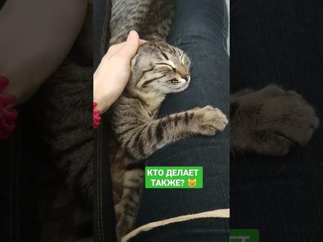 Есть уши-нет ушей)) Я не одна такая??)