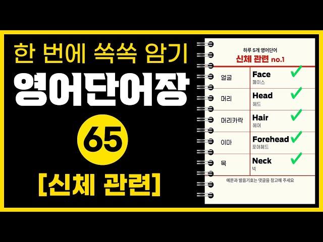 "몸의 구조, 신체 영어 단어로 알아보는 인체!" | 신체 관련 영어단어 65개 정리  |  팔꿈치를 영어로?   #영어단어장 #영어단어 #영어회화 #기초영어단어