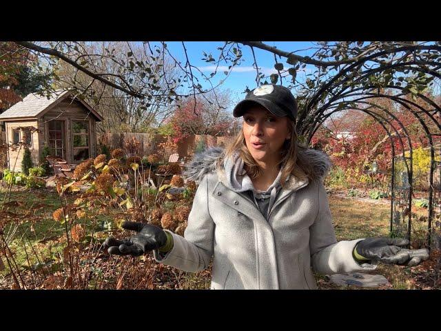 Filling Raised Beds Using Hügelkultur, Interplanting Lilies & Daffodils for Cut Flowers, Composting