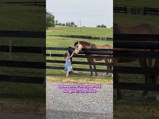 Little Girl And Horse Are Best Friends ️