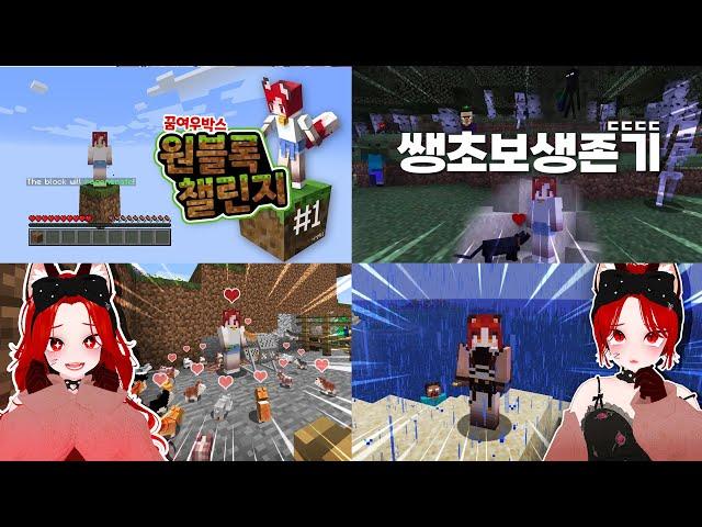 레전드 핵꿀잼깅도이 [마인크래프트] 몰아보기