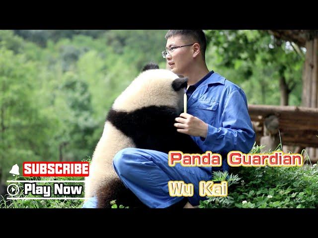 Former Fu Bao's Carertaker, Panda Guardian Wu Kai | iPanda #fubao