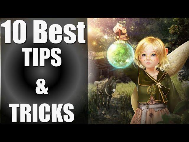 10 Best Tips & Tricks - Black Desert Mobile