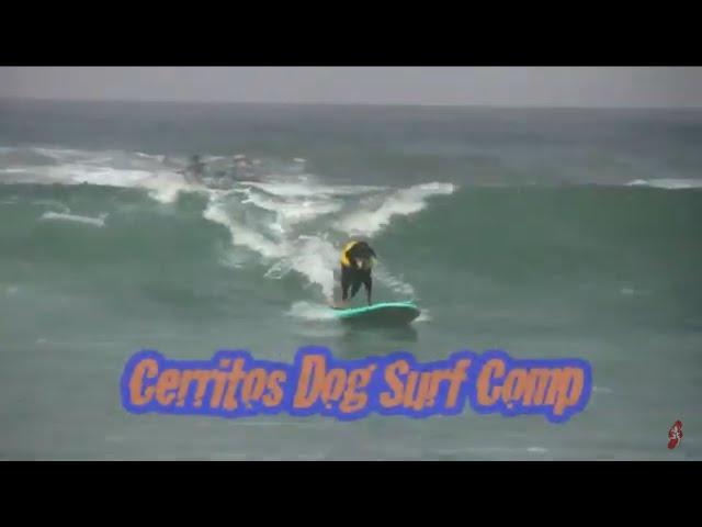 Cerritos Dog Surf Comp 2017