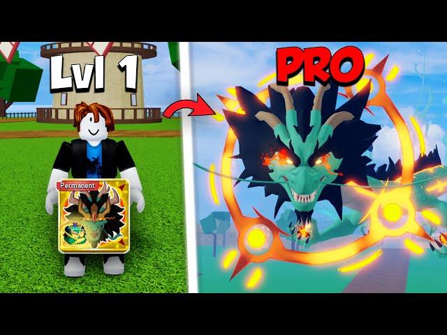 NOOB TO PRO avec DRAGON REWORK (Blox Fruits)