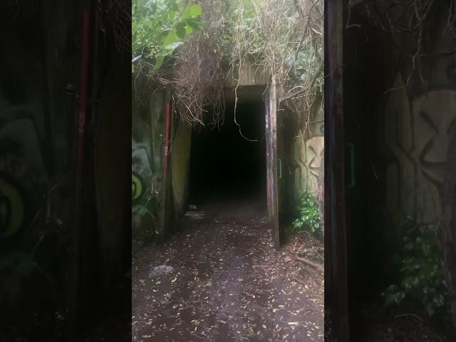 Creepy Mothman Point Pleasant Bunkers TNT area 1