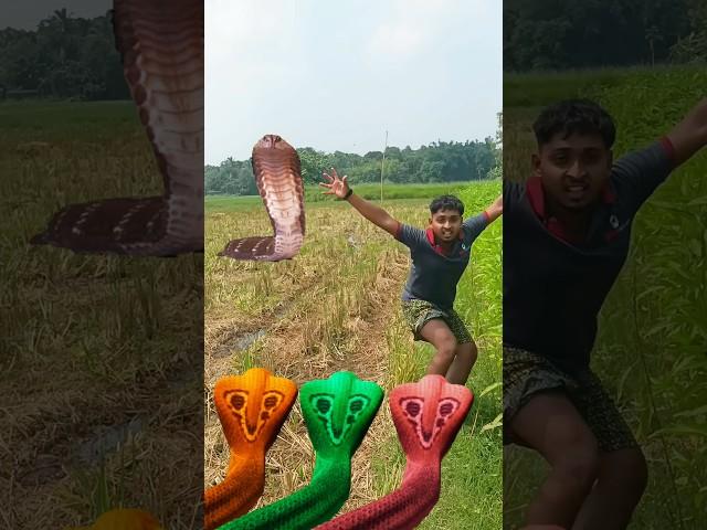 Visok Shree vishnu senek aya hara hara Shambhu#Bachalo volanata#kedarnath#krsno#short#video