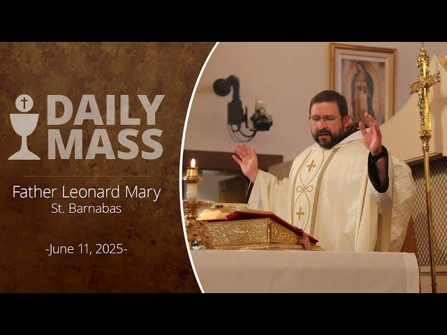 Catholic Daily Mass - Daily TV Mass - June 11, 2025