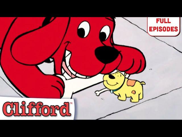 Good-bye T-Bone, The Truth About Cats and Dogs + more | Full Episodes | Clifford the Big Red Dog