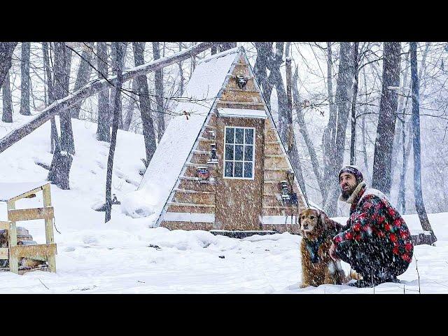 BLIZZARD AT THE CABIN | 2 Days in a Winter Storm with my Dog!