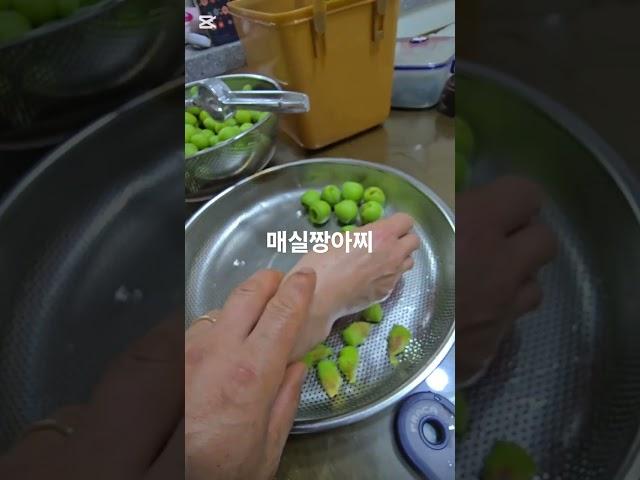 매실짱아찌. #농사 #gardening #귀촌생활 #주말농사 #farming #자연농원 #산나물 #garden #산골 #텃밭 #주말농사#매실#짱 아찌