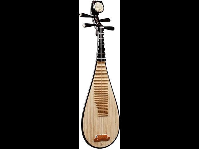 Chinese Instrument Pipa