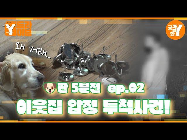 강아지가 싫어서 집앞에 압정 뿌린 이웃?!  : ep.2 | Y드라이브