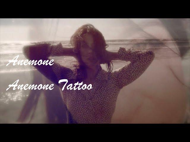 Fawn- Anemone Tattoo (Lyric Video)