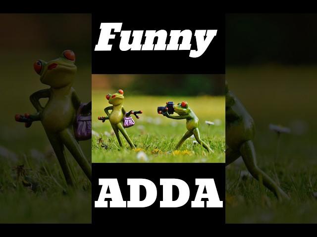 Funny Funny Funny Funny Videos || Funny Adda ||