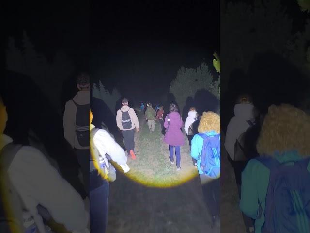 KOCAKIR TERAPİ ORMANI   #gezilecekyerler #orman #doğa #yürüyüş #gece #montains