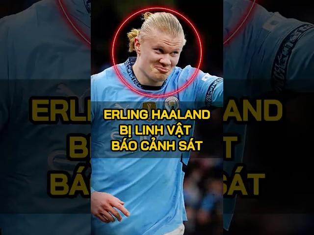 Erling Haaland bị cảnh sát dí vì tác động vật lý với linh vật Man City