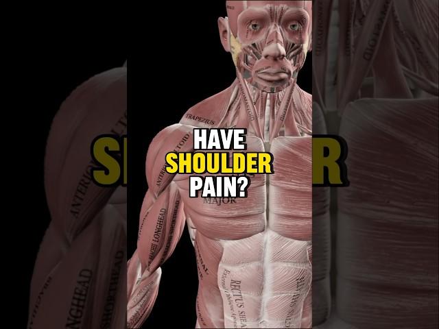 The Secret To Fixing Shoulder Pain?