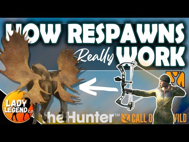 HOW RESPAWNS Really WORK in Call of the Wild 2023/24!!!