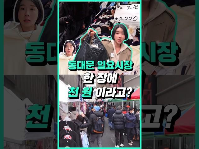 동대문 일요시장 한장에 천원?