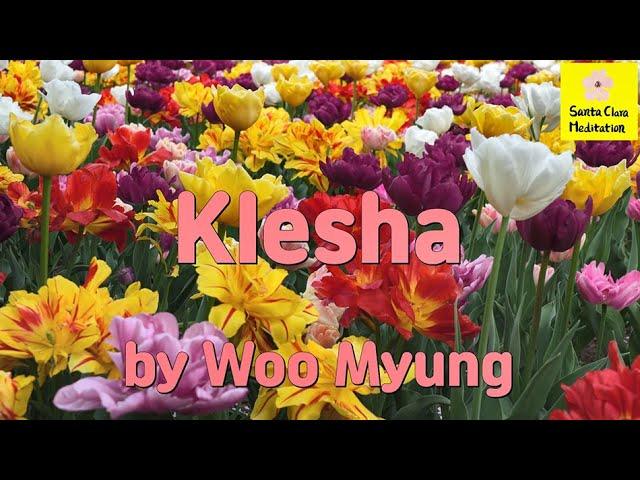 Master Woo Myung - How to Have Relaxation - Klesha | Santa Clara Meditation