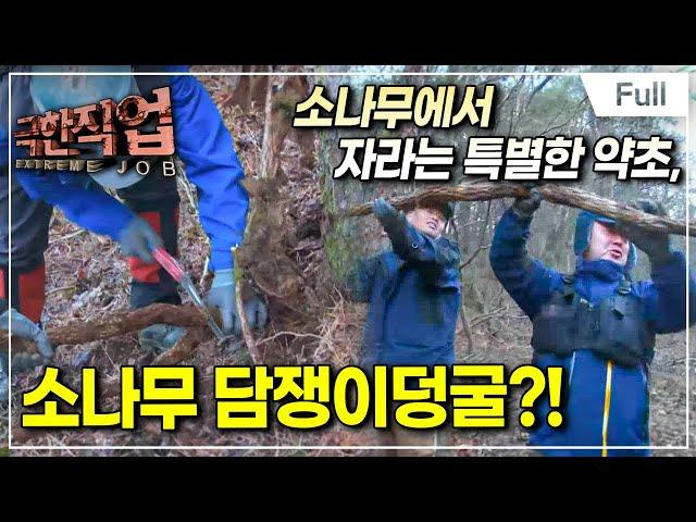 [Full] Extreme Job - Songdam Collection