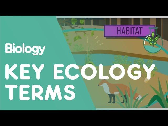 Key Ecology Terms | Ecology and Environment | Biology | FuseSchool