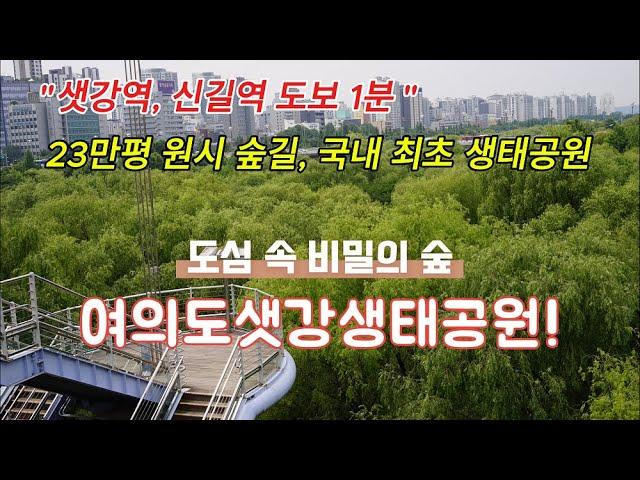 여의도 샛강생태공원 ┃23만평 원시 숲길 ┃도심 숨겨진 명소