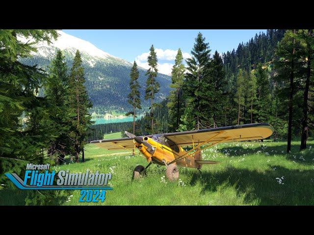 Microsoft Flight Simulator 2024  - The Best Bush Flying Sim of All Time? - EARLY ACCESS!