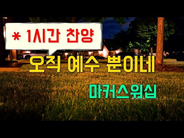 (1시간찬양) 오직 예수 뿐이네 Only Jesus (인도 : 소진영) - 마커스워십 [일상찬양]