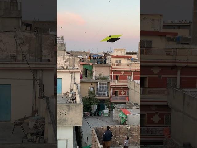 Big kite Looting #rawalpindi basant 2024#trendingvideo #basant #trendingshorts #trendingvideo