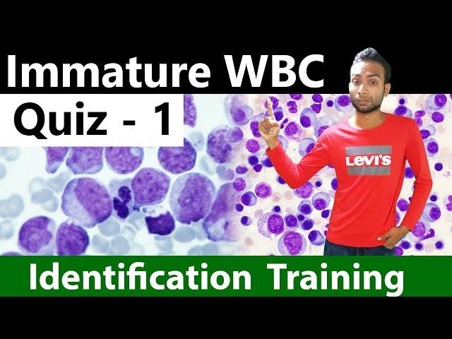 Immature WBC Identification Training Quiz - 1/2