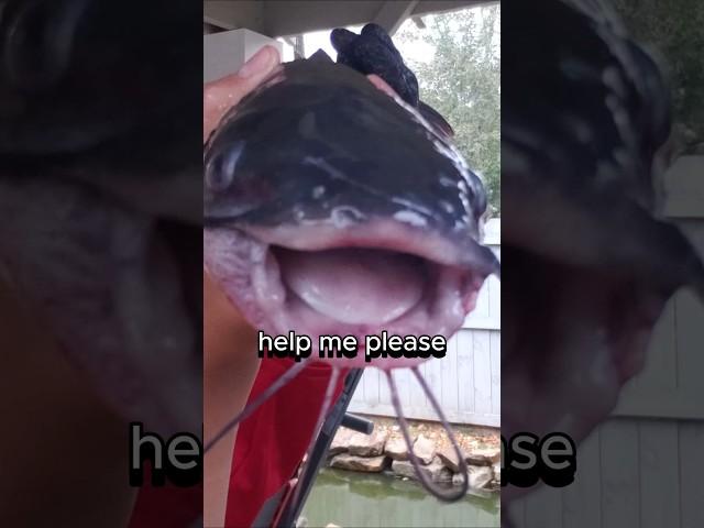 We did not mean to do that #funny #fisherman #fishing #comedy #fishingvideo #catfish #fishinglife