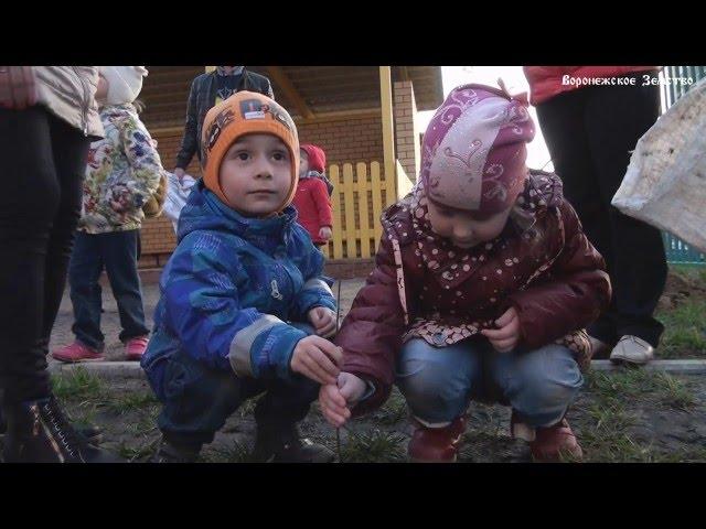 Воронежское Земство - Акция Зеленый Детский Сад