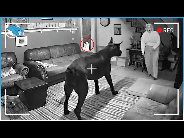 Incredible Moments Caught on CCTV Camera | Best Of Week #03