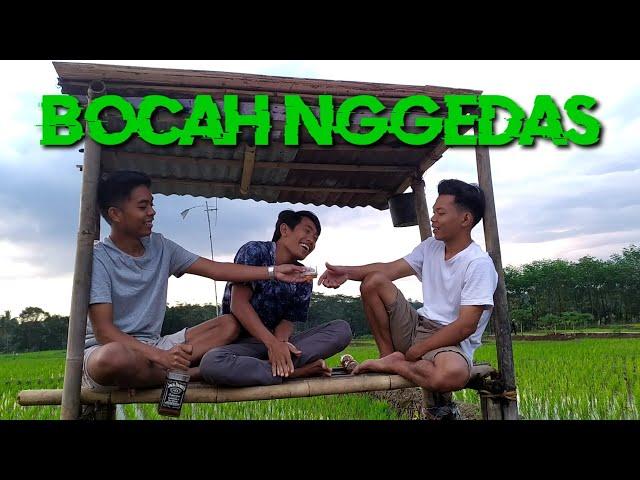 Bocah Nggedas - FPM (film pendek mangli)