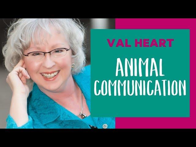 Animal Communicator, Val Heart | Animal Intelligence