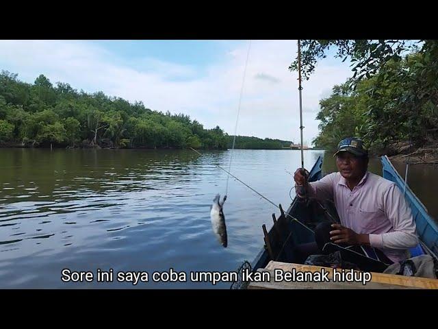 Fishing this time is only dominated by venomous cat fish