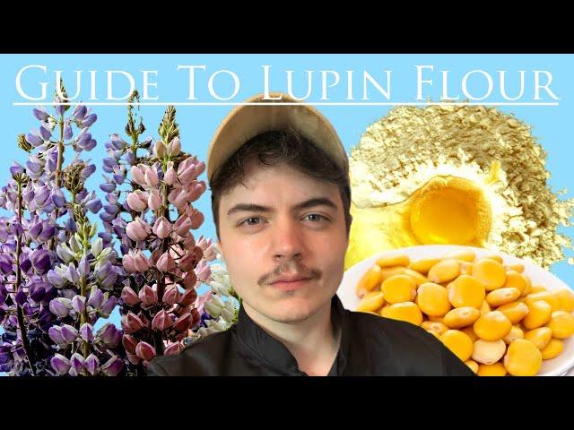 Guide To Lupin Flour || The Keto Kitchen