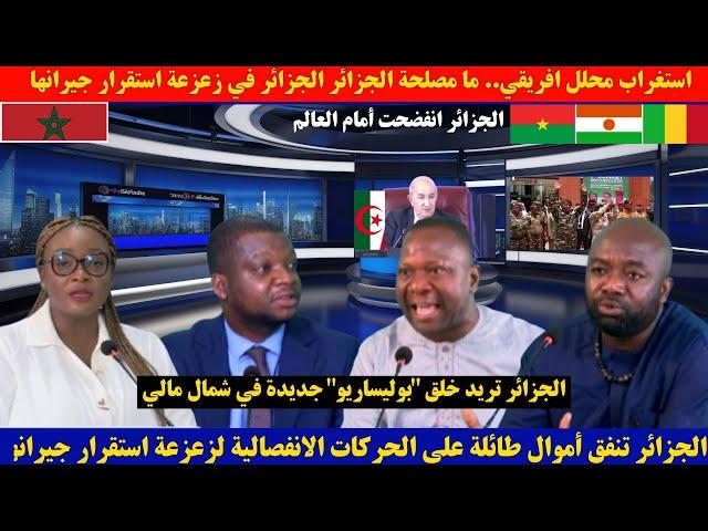 استغراب محلل افريقي.. ما مصلحة الجزائر في زعزعة استقرار جيرانها