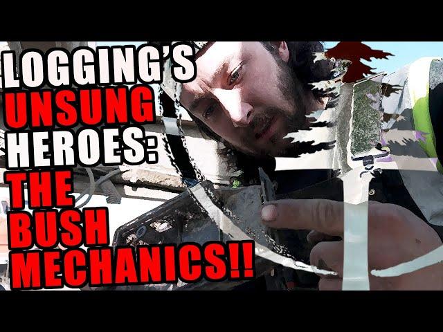 BUSH MECHANICS: The Logging Industry's Invisible GOATS! Original Treehuggers: EPISODE #04