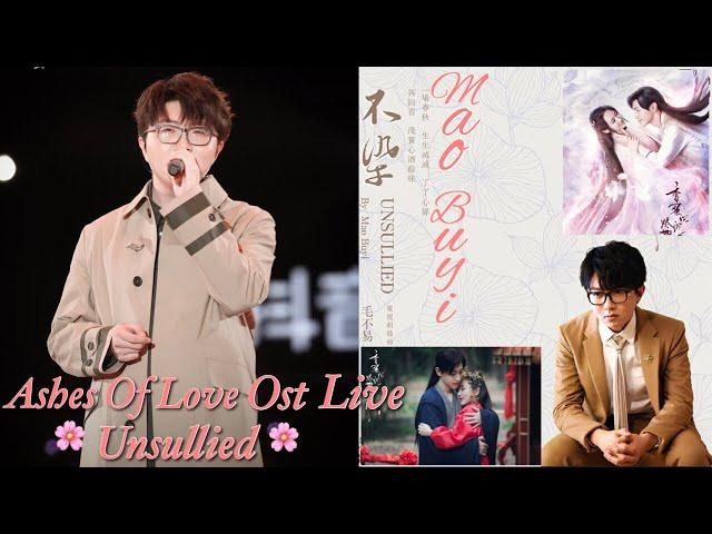 Ashes Of Love | Mao Buyi - Unsullied