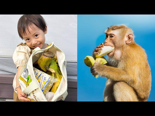 See what Diem has prepared for her dad to bring to Monkey Kaka