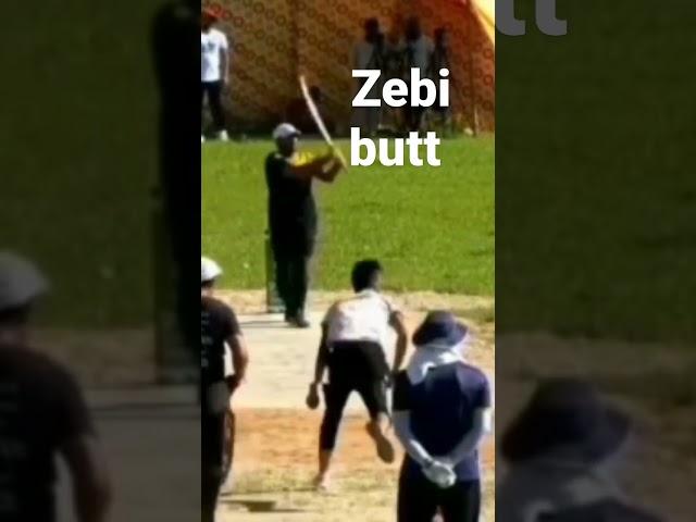 Zebi butt gabbar batting