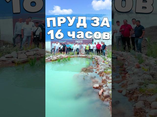 Современный пруд с нуля. Создание водоёма с биофильтром в Ташкенте. Семинар по созданию прудов