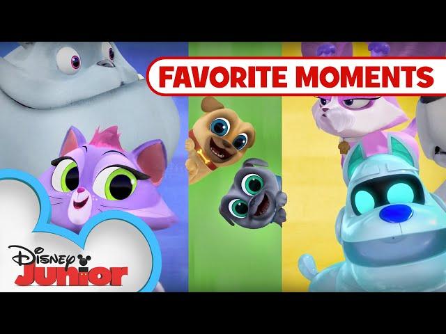 Puppy Playcare Part 1!  Compilation | Puppy Dog Pals | Disney Junior