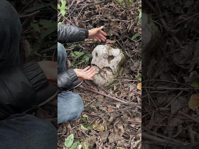 四川古蔺深山，发现神秘古遗址，到底当初建的是什么宫殿，无人知晓，如今剩下来的只有一堆石头， #景色  #分享