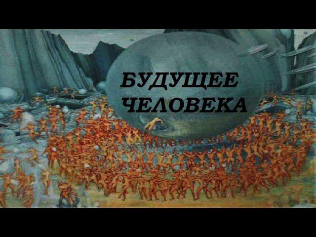 Человейники и расчеловечивание людей.