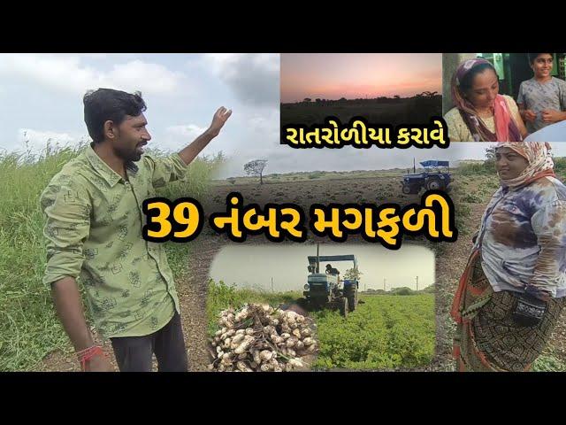 આજે મારો birthday છે પણ કોઈને કાંઈ સપને નથી| 39નં.મગફળી નો વાઢ પુરો પણ ઓલા ભુંડ અમને બોવ હેરાન કરે