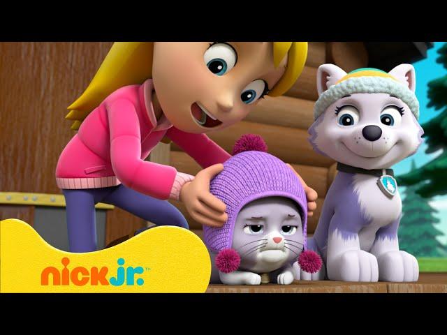 Psi Patrol | Misje ratowania kotków i zwierzątek z Everest, Chase'em i innymi! | Nick Jr. Polska